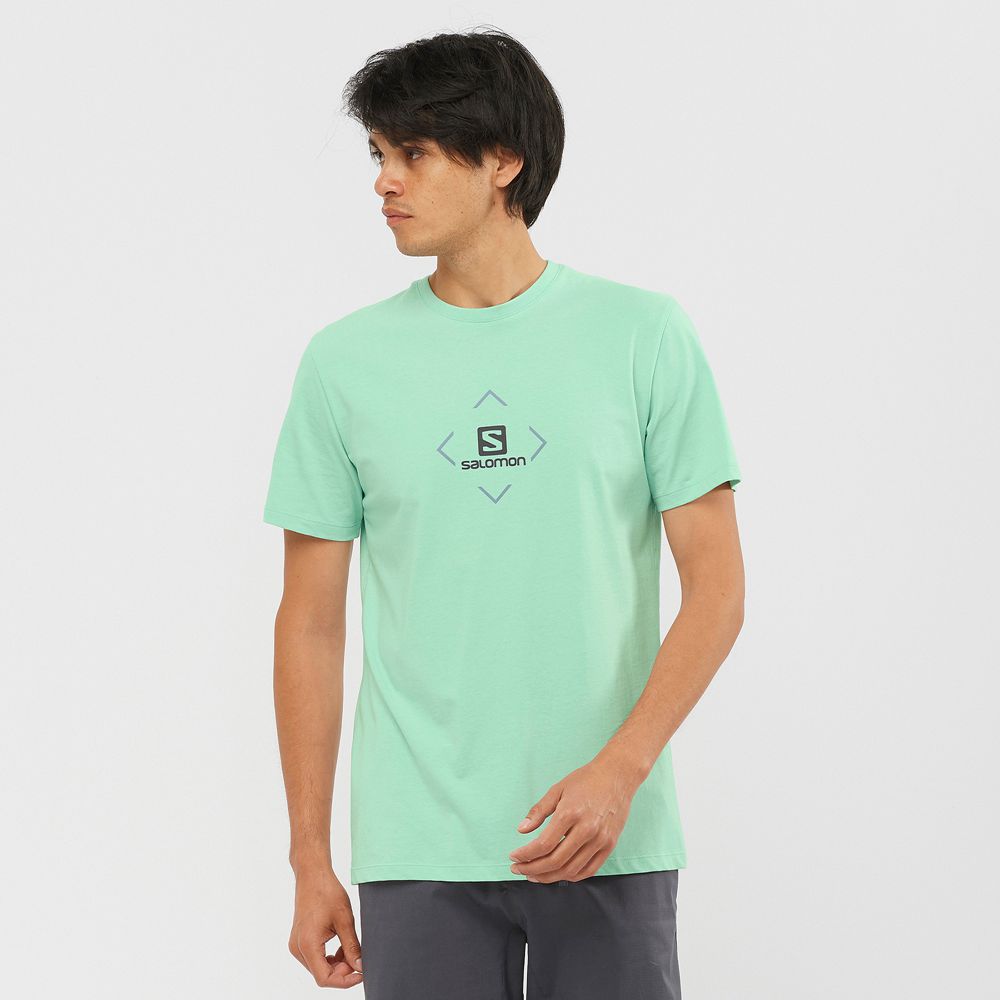 Salomon T-Shirts Herre Mintgrønne - SALOMON COTTON M (LYIRE-2908)
